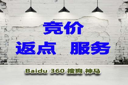 竞价推广实战经验：案例分析与实践
